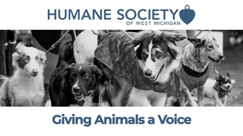 West michigan humane society - Humane Society of West Michigan 3077 Wilson Dr. NW Grand Rapids, MI 49534 616.453.8900 adoptions@hswestmi.org 